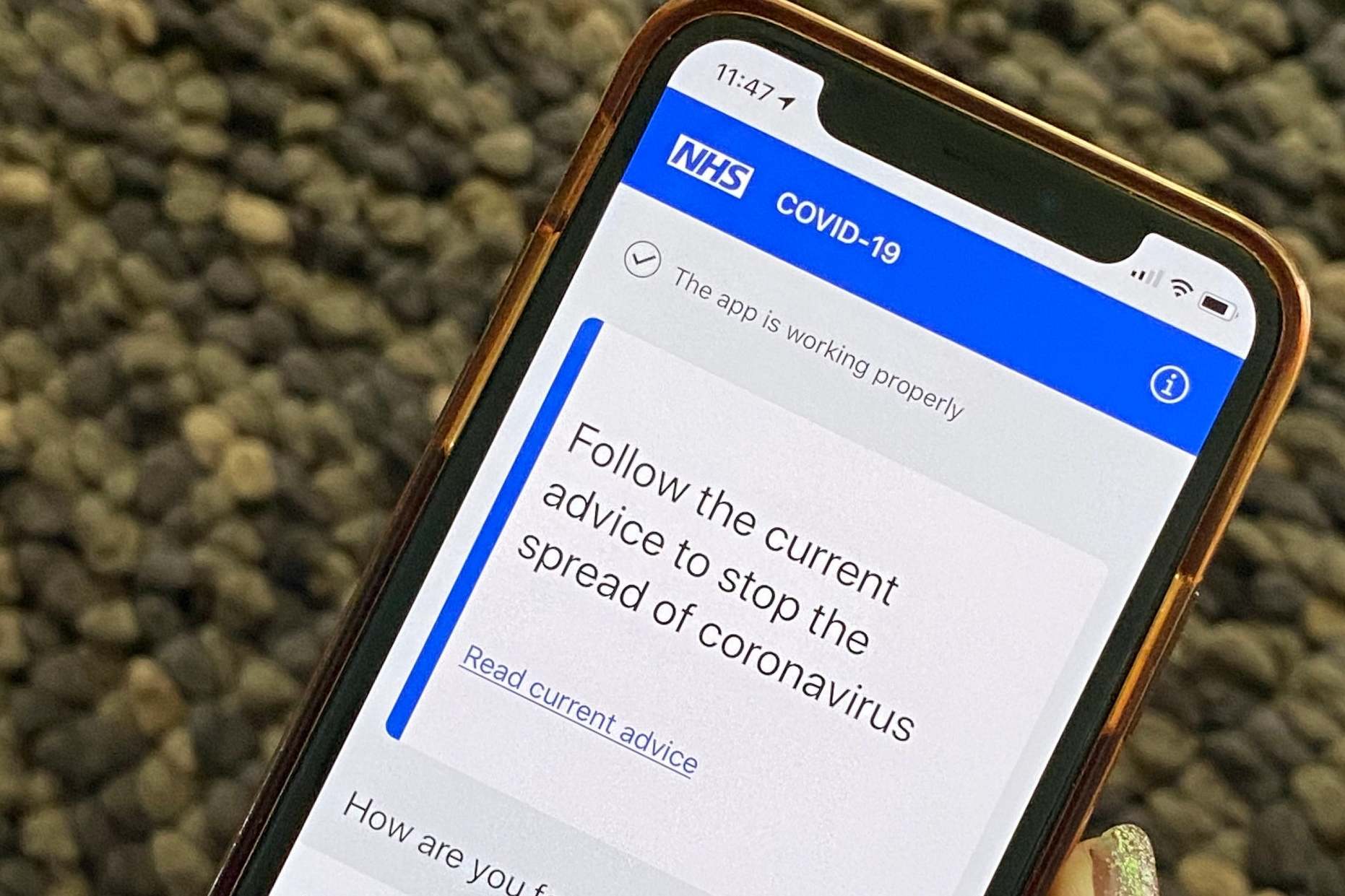 Coronavirus contact-tracing apps could pose major privacy risk, Amnesty warns