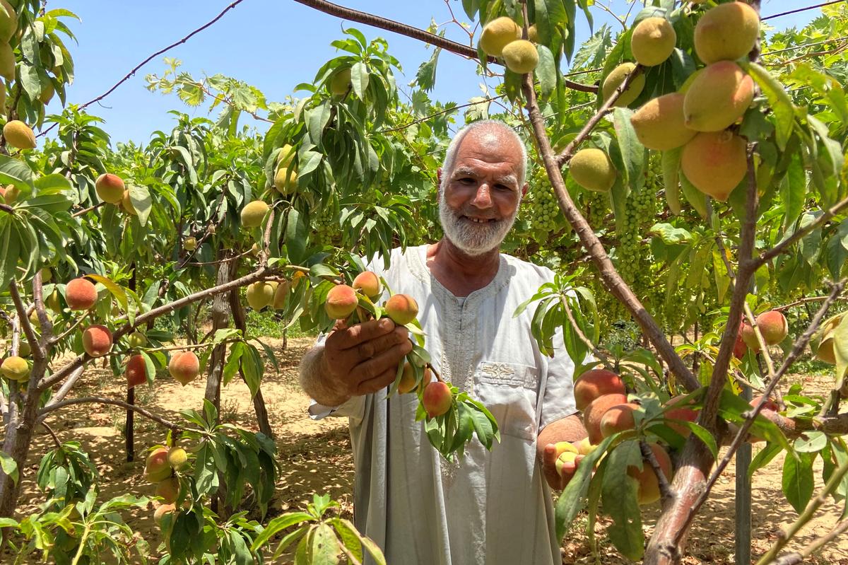 As Israel threatens West Bank annexation, Gazans recall settler withdrawal