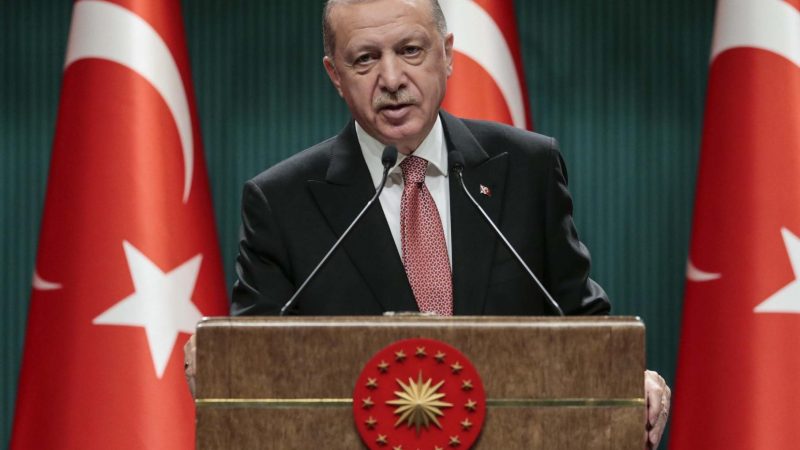 ##  Experts express concern as Erdogan emerges as a threat to India ##