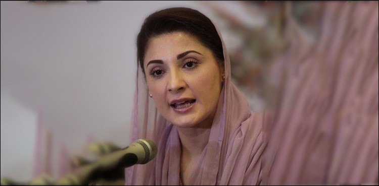 PML-N’s Maryam says Shehbaz Sharif would have become PM had he been disloyal to Nawaz