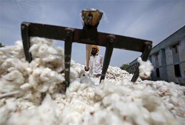Pakistan textile sector disappointed with Imran Khan govt’s u-turn on Indian cotton imports