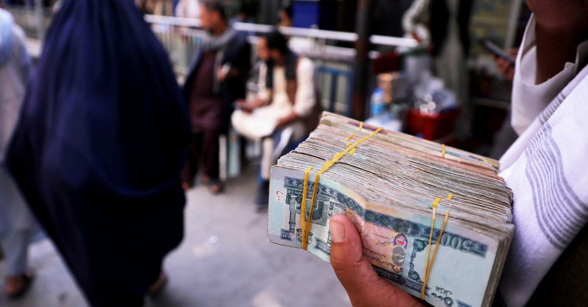 Unfreeze Afghan assets abroad, neighbour Uzbekistan says