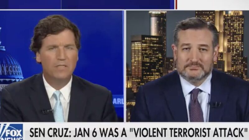 Ted Cruz aide weighs in on Tucker Carlson appearance, says he’s been ‘radicalised’