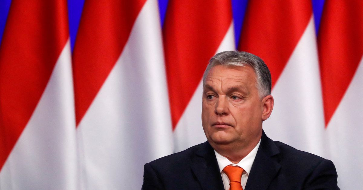 Poland, Hungary turning more authoritarian, rights group says
