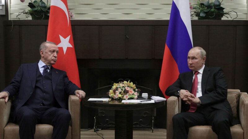 Factbox: Turkey’s ties to Russia, Ukraine limit its room to manoeuvre