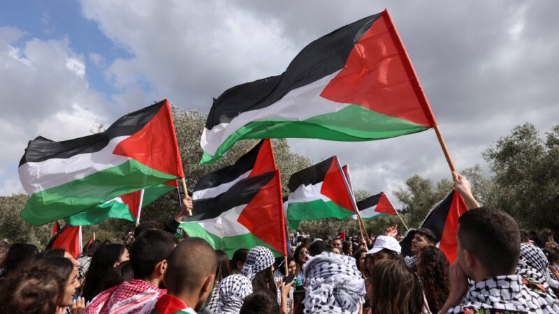 Palestinians mark 74th Nakba amid anger over journalist’s killing