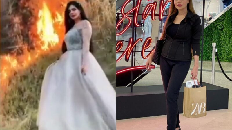 Climate activists criticise Pakistani influencer for ‘setting fire’ to forest for TikTok video