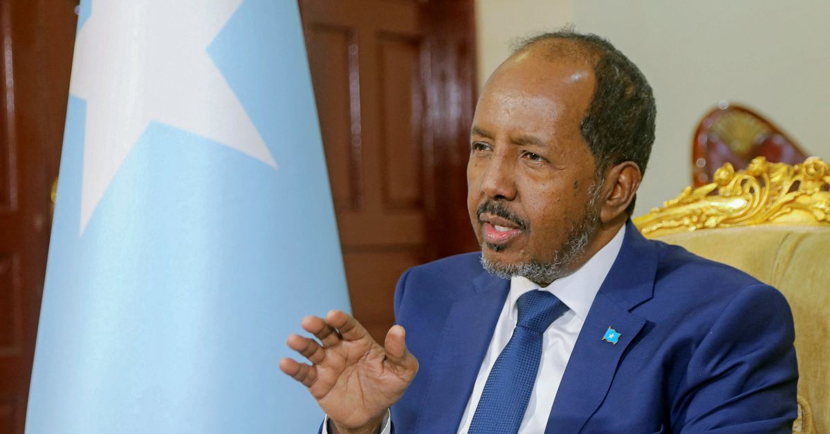 New Somali president calls for reconciliation as U.S. troops return