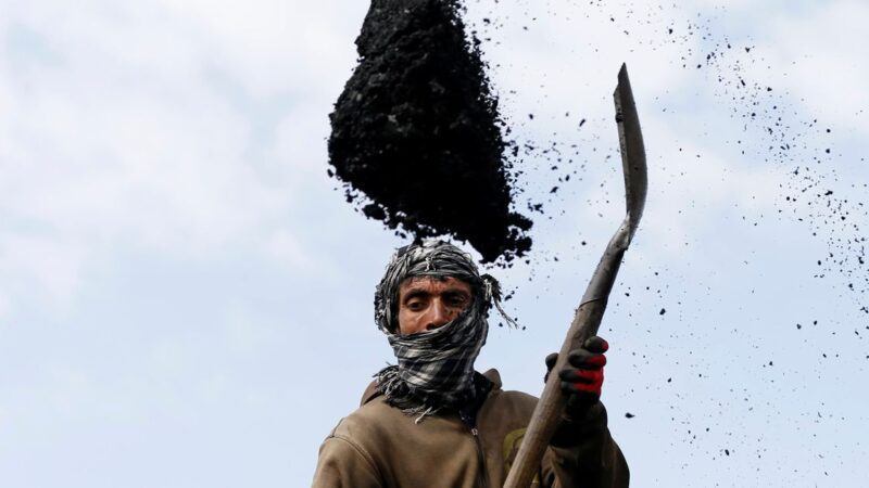 طالبان أفغانستان تقوم بتكثيف صادراتها من الفحم لتعزيز الميزانية المحلية