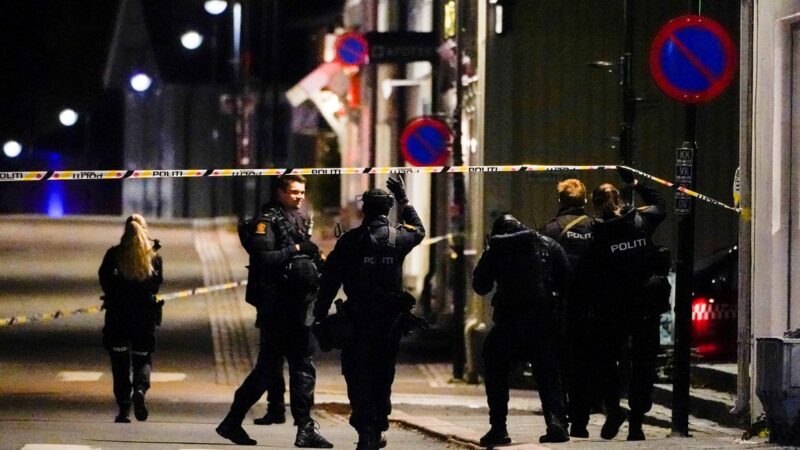 Man pleads guilty to killing five in Norway stabbing, bow-and-arrow attacks