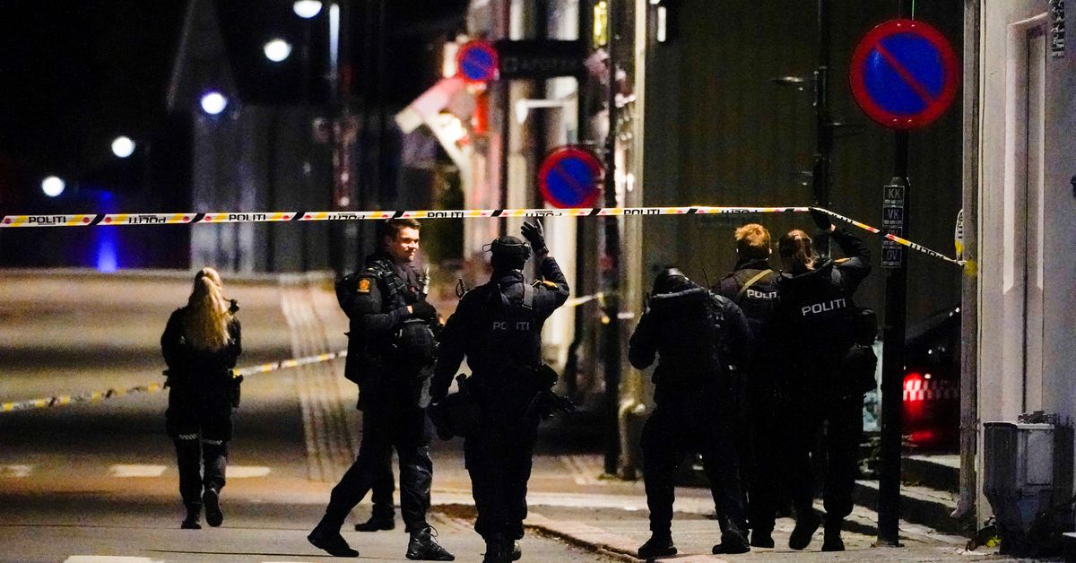 Man pleads guilty to killing five in Norway stabbing, bow-and-arrow attacks