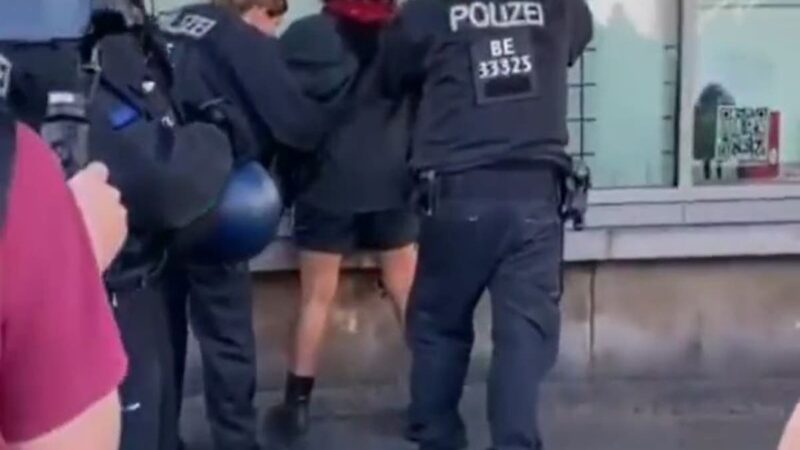 Palestinian activists accuse German police of heavy-handed crackdown on vigil in Berlin