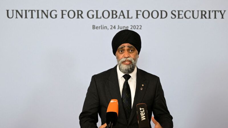 Canada seeks to boost foreign aid for food security – minister