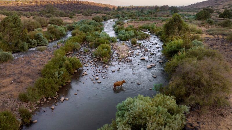 Mideast’s Jordan River: Rich in holiness, poor in water