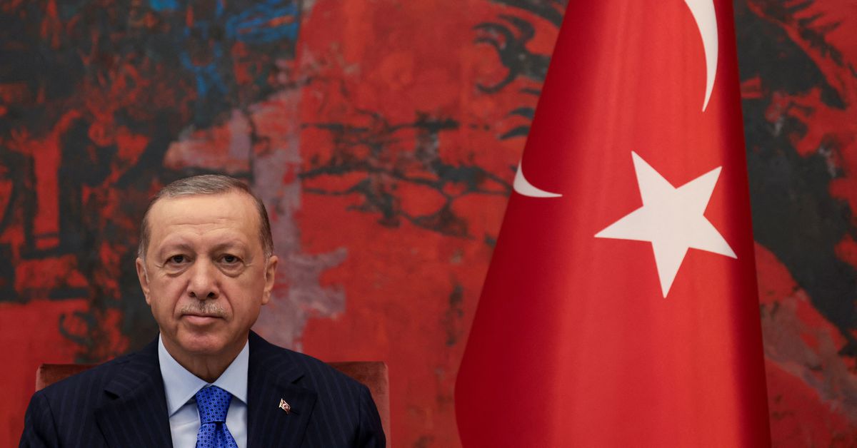Turkey’s Erdogan echoes Putin’s gripes over grain exports