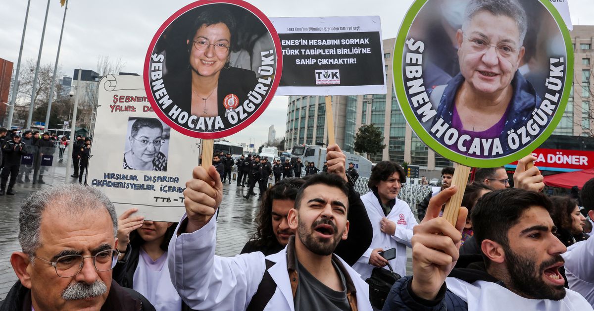 Turkish court convicts doctor of terrorism propaganda, releases her from jail-rights groups
