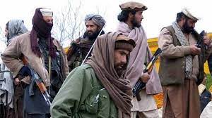 Pak Suffers Immensely Letting Taliban Loose