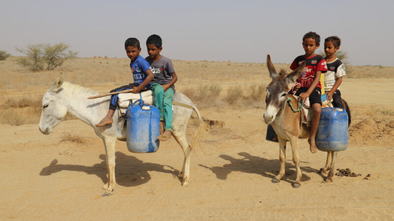 Water stress worsens food insecurity crisis in Arab states