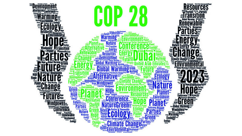 Cop 28 And Pakistan: Addressing Climate Challenges And Charting A Sustainable Future