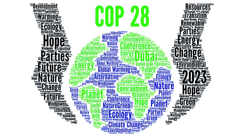 Cop 28 And Pakistan: Addressing Climate Challenges And Charting A Sustainable Future