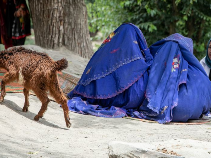 Afghanistan: The Taliban tightens its limitations on women’s rights