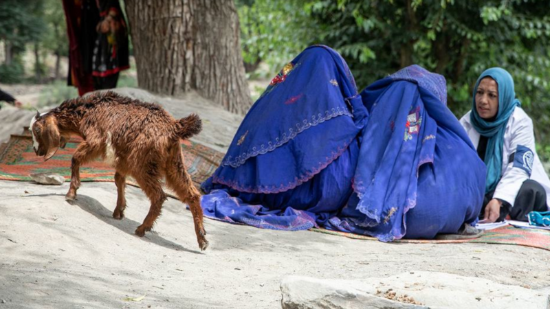 Afghanistan: The Taliban tightens its limitations on women’s rights