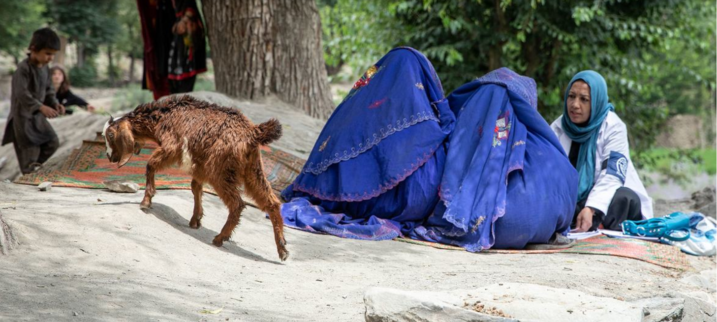 Afghanistan: The Taliban tightens its limitations on women’s rights