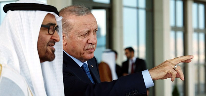10 Arab countries, Turkey reaffirm support for Syria s sovereignty, condemn Israeli strikes