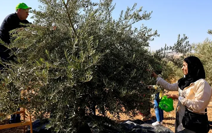 Israeli settler charged with terrorism after injuring Palestinian