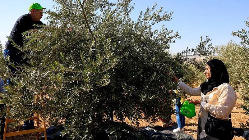 Israeli settler charged with terrorism after injuring Palestinian