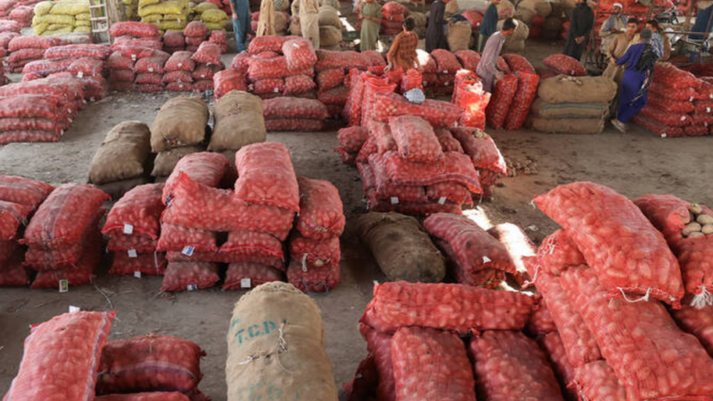 Pakistan explores other export markets as potato price slump persists after Afghan border closure
